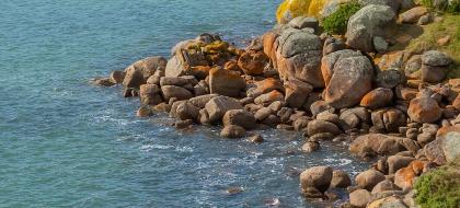 Update to the annual report 2025 cover - thumbnail